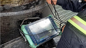 Pantalla con datos de revisión ademinsa